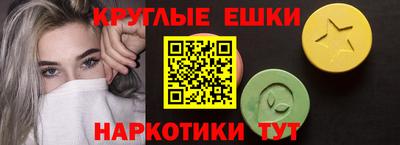 индика Кингисепп