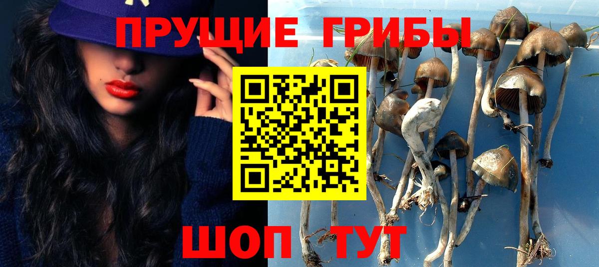 Псилоцибиновые грибы мицелий Костомукша