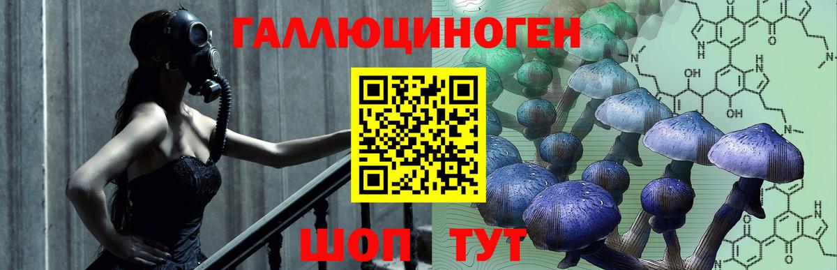 Костомукша  Псилоцибиновые грибы мицелий  Вход с VPN 